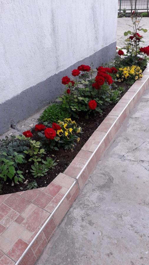 Vrlika Kuca Za Odmor Varos 빌라 외부 사진