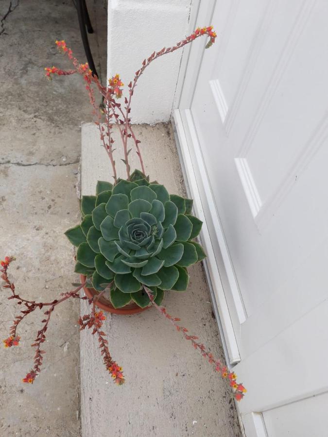Vrlika Kuca Za Odmor Varos 빌라 외부 사진